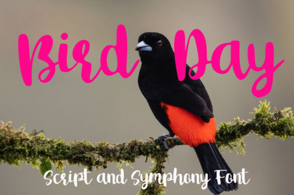 Bird Day Font: A Creative Touch for Makers