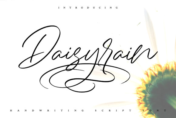 Daisy Rain Font: Elegant Script for Web Design