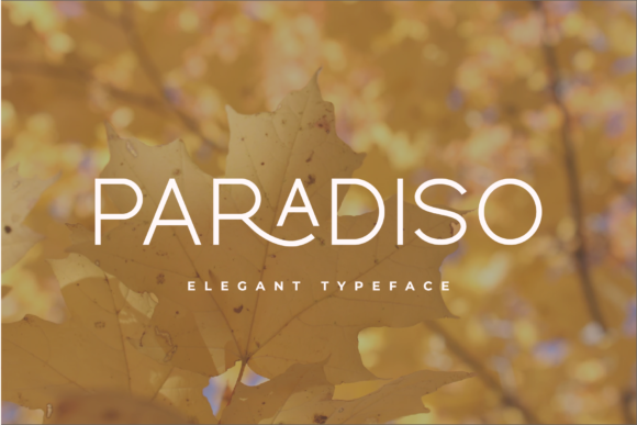 Paradiso: A Modern Sans Serif Review