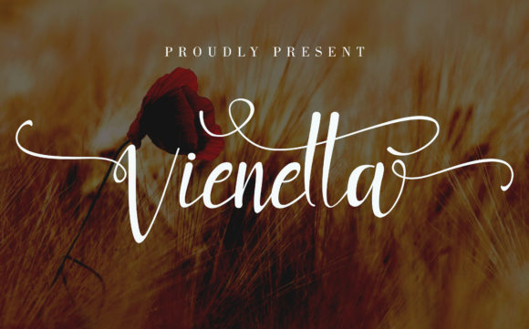 Viennetta: A Beautiful Script Font
